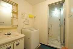 脱衣室の様子。洗面台と洗濯機が設置されています。(2012-05-15,共用部,OTHER,3F)