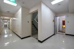 廊下の様子。廊下沿いに共用のトイレがあります。(2012-05-15,共用部,OTHER,3F)