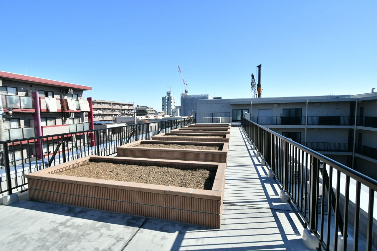 屋上菜園の様子。(2020-02-02,共用部,OTHER,4F)