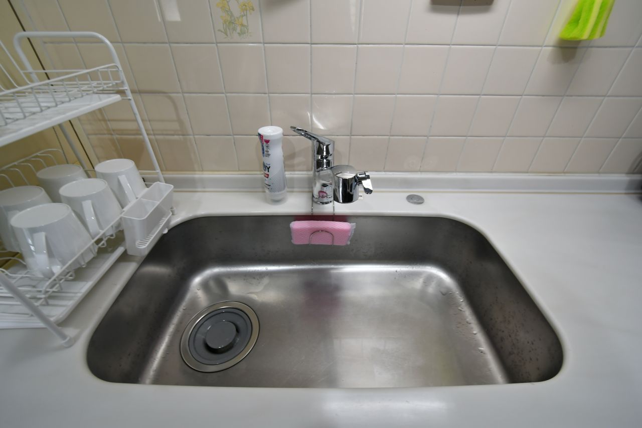 シンクの様子。(2023-03-08,共用部,KITCHEN,1F)