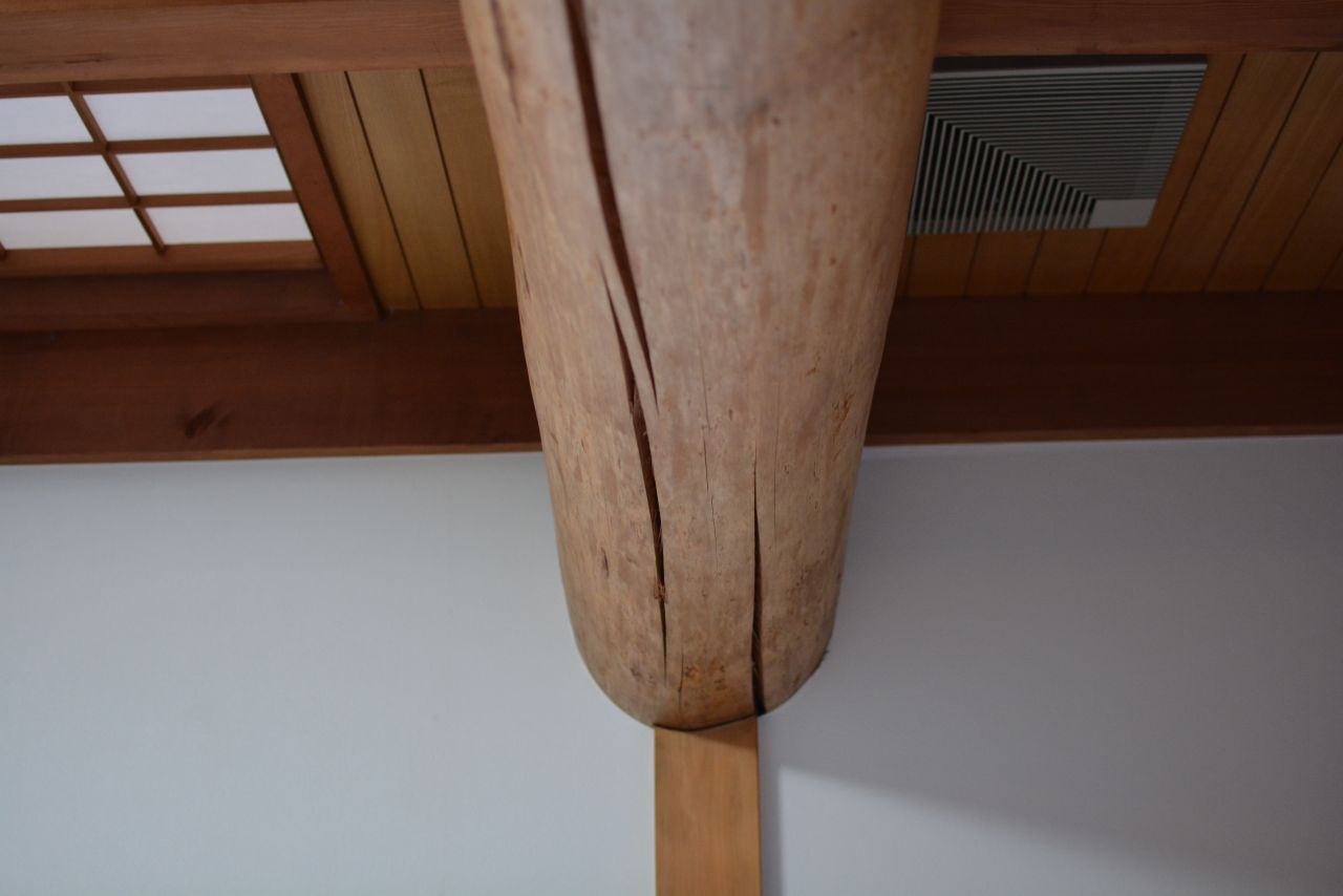 特大の梁。存在感があります。（101号室）(2023-03-08,専有部,ROOM,1F)
