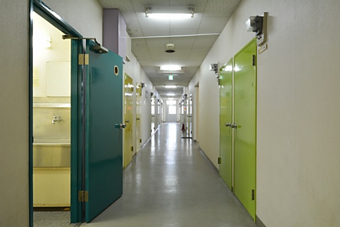 廊下の様子。(2015-01-22,共用部,OTHER,1F)