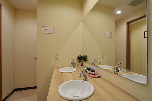 洗面台も女性専用です。(2015-01-22,共用部,BATH,1F)