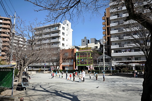 シェアハウス周辺の公園。(2009-02-17,共用部,ENVIRONMENT,1F)