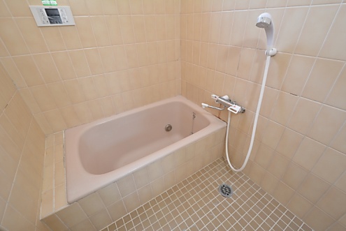 バスルームの様子。(2016-02-09,共用部,BATH,1F)