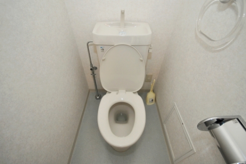 トイレの様子。（407号室）(2010-05-19,共用部,TOILET,4F)