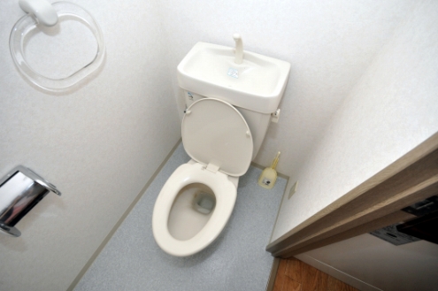 トイレの様子。（102号室）(2010-05-19,共用部,TOILET,1F)