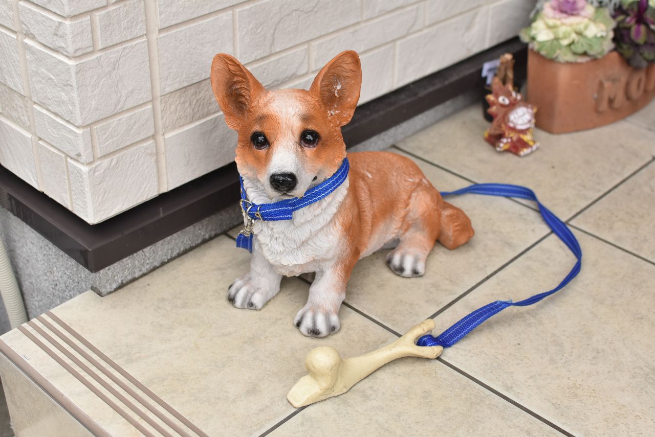 犬のオブジェ。シェアハウスの1Fではオーナーさんのペットの犬と猫が放し飼いにされています。|1F その他