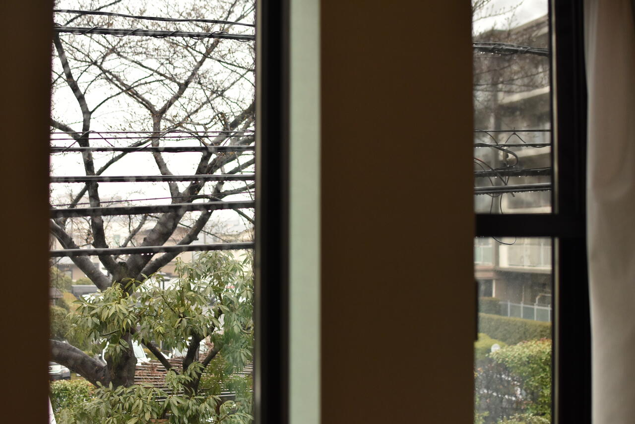 窓から桜の木が見えます。（203号室）|2F 部屋