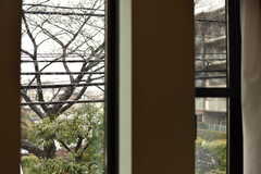窓から桜の木が見えます。（203号室）(2018-03-08,専有部,ROOM,2F)