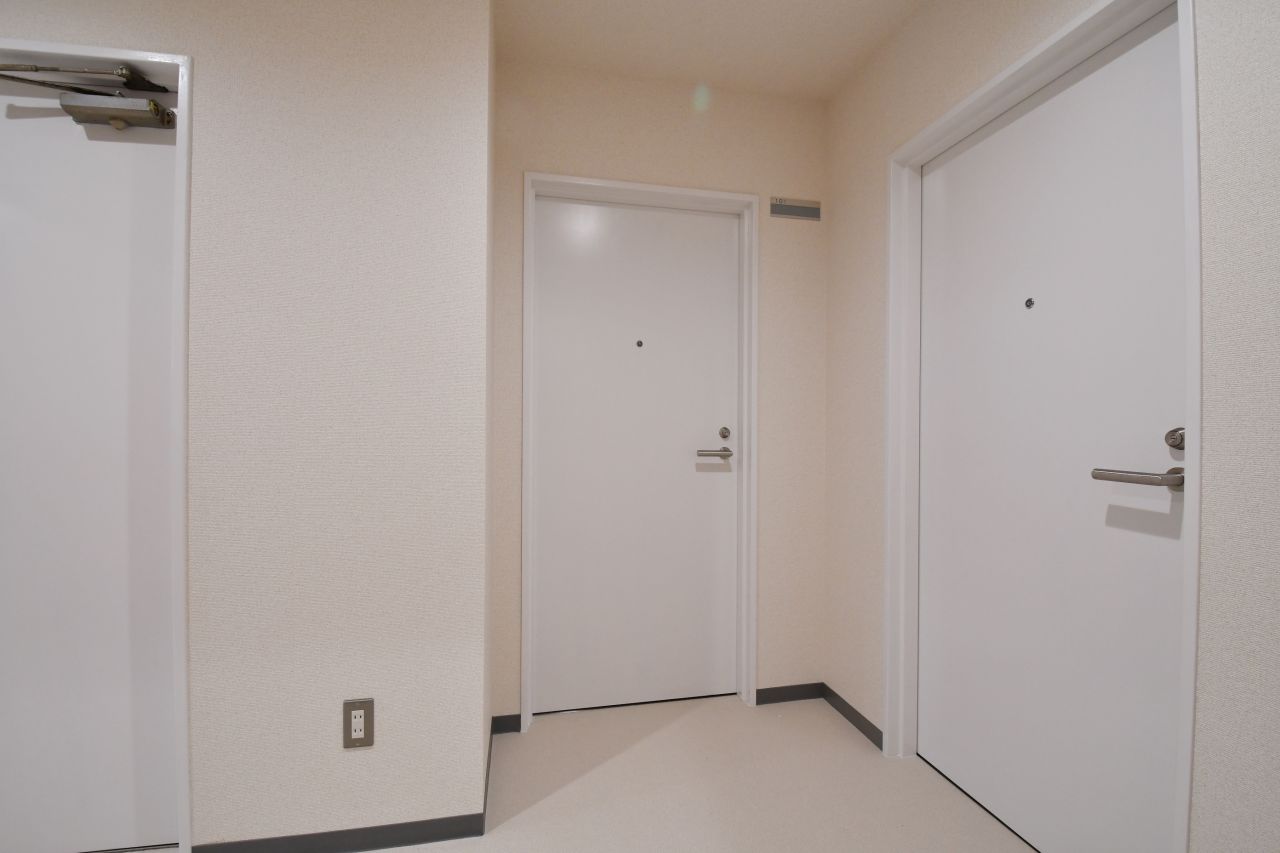 専有部のドア。（101号室）(2019-10-17,専有部,ROOM,1F)