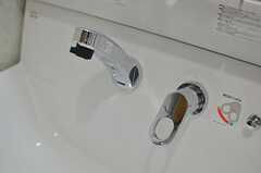 洗面台はシャワー水栓です。(2014-03-11,共用部,OTHER,1F)