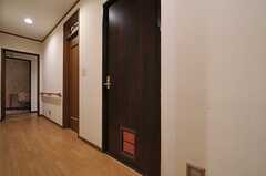 専有部のドア。ワンちゃん専用の入口があります。（101号室）(2014-03-11,専有部,ROOM,1F)
