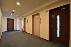 廊下の様子。ドアの先はミニキッチンとランドリースペースです。(2018-04-06,共用部,OTHER,4F)