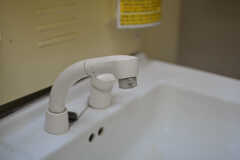 洗面台はシャワー水栓です。(2022-11-22,共用部,WASHSTAND,1F)