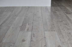 床材は無垢材風のクッションフロア。（101号室）(2013-03-10,専有部,ROOM,1F)