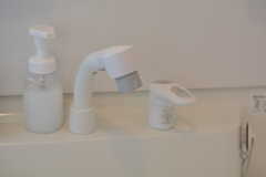 洗面台はシャワー水栓付き。(2020-02-10,共用部,WASHSTAND,1F)