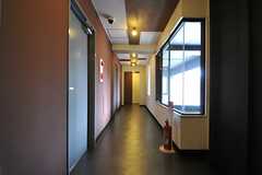 廊下の様子。5Ｆは女性専用フロアです。(2013-09-02,共用部,OTHER,5F)