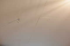 天井にはハンモックやハンギングネットなどを引っ掛けられるフックが設置されています。（123号室）(2020-03-06,専有部,ROOM,1F)