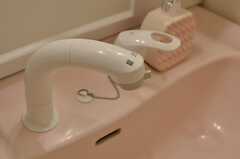 洗面台はシャワー水栓付き。(2013-09-12,共用部,OTHER,1F)