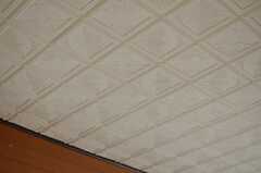 天井は繊細な模様（202号室）。(2013-09-12,専有部,ROOM,2F)