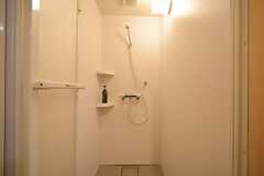 シャワールームの様子。(2015-01-17,共用部,BATH,1F)