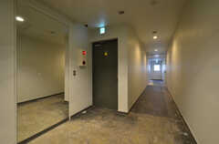 廊下の様子。奥にバスルームがあります。(2015-02-06,共用部,OTHER,9F)