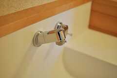 洗面台はシャワー水栓です。（A棟）(2013-02-26,共用部,OTHER,1F)