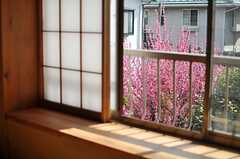 椅子にすわると窓から紅梅が覗きます。（201号室）（A棟）(2013-02-26,専有部,ROOM,2F)