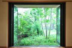 窓から見た庭の景色。（B棟）(2014-05-29,共用部,LIVINGROOM,1F)