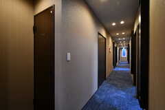 廊下の様子。左手にトイレが2室向かい合って配置されています。(2022-04-03,共用部,OTHER,2F)