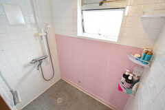 シャワールームの様子。(2023-03-27,共用部,BATH,3F)