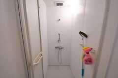 シャワールームの様子。(2017-04-24,共用部,BATH,1F)