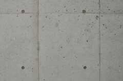 壁の一面はコンクリート打ちっぱなし。（101号室）(2014-05-22,専有部,ROOM,1F)