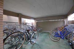 自転車置場の様子。1人1台提供されるとのこと。(2013-03-12,共用部,GARAGE,1F)