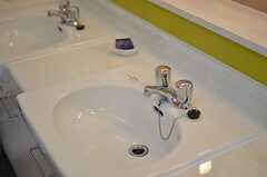 洗面台の様子。※女性専用フロアです。(2012-02-27,共用部,OTHER,6F)