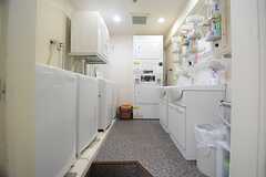 洗面室には洗濯機と乾燥機が設置されています。(2010-06-30,共用部,LAUNDRY,1F)