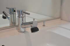 洗面台はシャワー水栓。(2023-06-19,共用部,WASHSTAND,1F)
