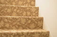 廊下も階段もカーペット敷きです。(2012-12-24,共用部,OTHER,1F)