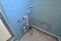 シャワールームの様子。シャワールームの対面がトイレです。(2017-11-21,共用部,BATH,4F)