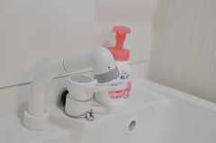 洗面台の様子。シャワー水栓です。(2013-12-09,共用部,OTHER,3F)