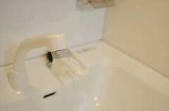 洗面台はシャワー水栓です。(2013-03-11,共用部,KITCHEN,1F)