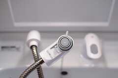 洗面台はシャワー水栓です。(2013-09-19,共用部,OTHER,1F)
