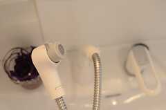 洗面台はシャワー水栓付き。(2014-05-21,共用部,OTHER,1F)