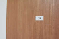 専有部のサイン。（201号室）(2022-12-01,専有部,ROOM,2F)