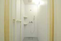 シャワールームの様子。(2012-11-26,共用部,BATH,2F)