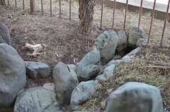 水が流れそうな石の配置。今後植栽していくそうです。(2013-03-11,共用部,OTHER,8F)