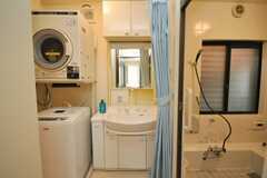 脱衣室の洗面台の様子。(2009-02-10,共用部,BATH,1F)