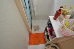 脱衣室の様子2。洗面用具は棚に置くことが出来ます。(2010-11-18,共用部,BATH,2F)