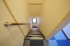 階段の様子。(2011-04-01,共用部,OTHER,2F)